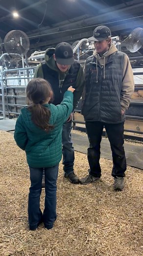 22K views · 284 reactions | Linde's Livestock Photography on Reels | Facebook