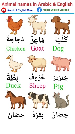 Animal names in Arabic and English #speakarabic #speakarabic #arabiclanguage
