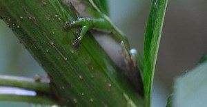 Video by Steven May on Pexels