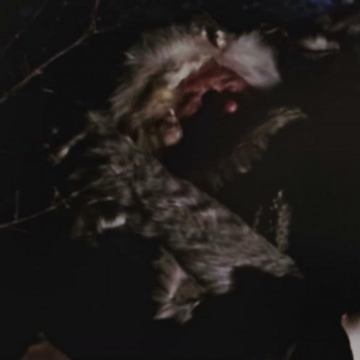 Classic Bear Claw’s Wilderness Lesson | Jeremiah Johnson