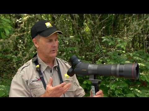 Nikon EDG Fieldscope - Nikon Pro Review