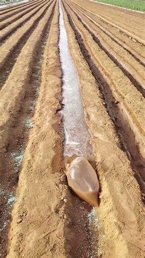 Smart Farming Hack: Rolling Water Bag Controls Flow