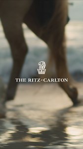 Located on a secluded barrier Island, this Florida oceanfront resort marries coastal luxuries with authentic charm. Discover the pristine natural beauty of Amelia Island with unique, authentic local experiences that are sure to become cherished memories. | The Ritz-Carlton, Amelia Island