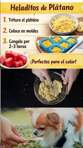 👉 Can your dog eat bananas? 🍌 (This is what you should know) #cats #healthyfood