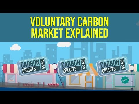 What is the Voluntary Carbon Market (VCM)?