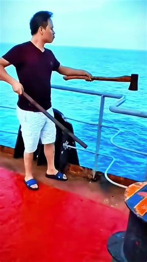 Exploring the Wonders of Ocean Life