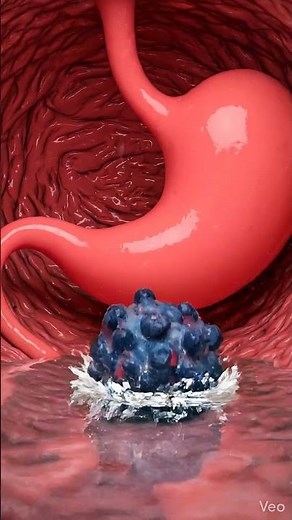What Happens to Blueberries in Your Stomach #digestion #health #science