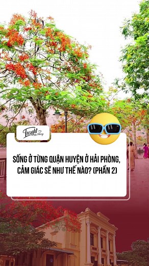 Chế Giễu Cuộc Sống Hải Phòng: Hài Hước và Độc Đáo