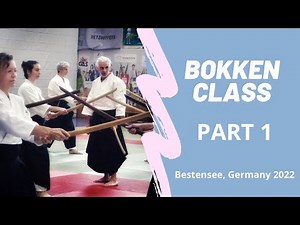 Bokken practice - Random attacks !