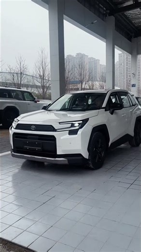 2026 Toyota RAV4 2.0 l Woodland