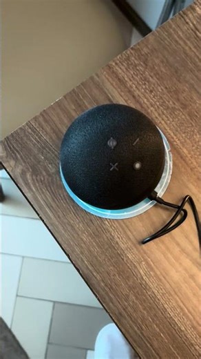 Alexa answers my questions