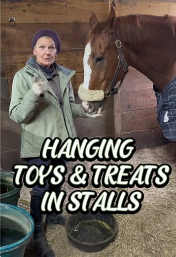 Understanding Horse Castration: Key Insights and Practices