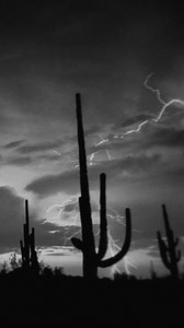 Chris Stapleton on Instagram: "Chris Stapleton covers “Nothing Else Matters” from @metallica’s The Black Album for The #MetallicaBlacklist, supporting @allwithinmyhandsfoundation & @osok. Link in bio to listen."