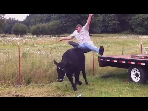 Crazy People Riding Animals Very Funny