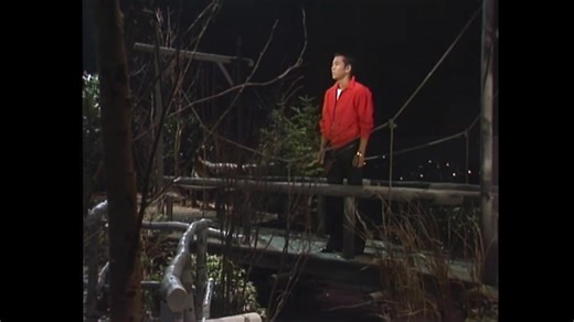 山本譲二の懐かしい「みちのくひとり旅」