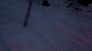 Alaska. Now. #HomesteadRescue #raneyranch #discovery TY all. | Marty Raney