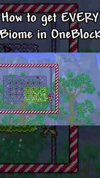 How to get Every Biome in Terraria One Block