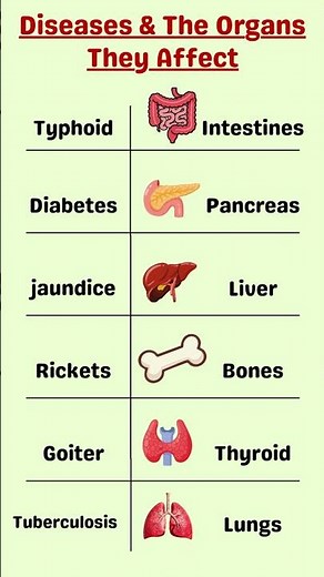 Diseases and the Organs They Affect | Typhoid, Diabetes, Jaundice & Rickets Explained