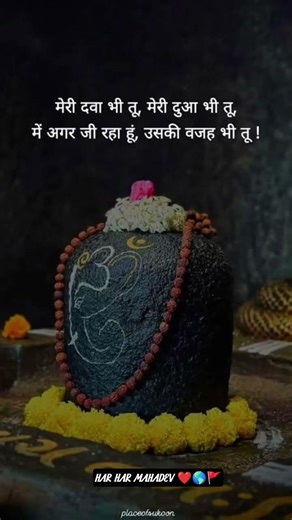 har har Mahadev ❤️🌎🚩 #harharmahadev #youtubeshorts #shorts