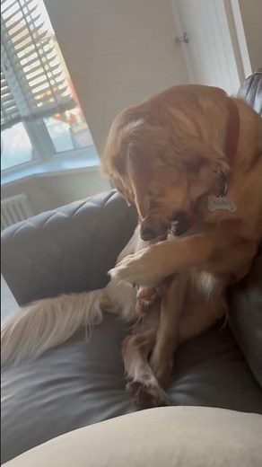 Literally me creating all my own problems