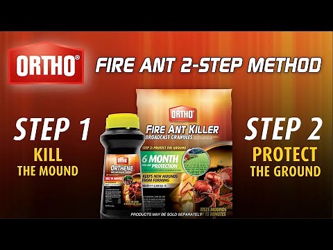 How To Use Ortho Fire Ant 2 Step Method