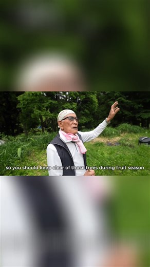 Exploring a Remote, Beautiful Village with Unexpected Encounters!🌲🐻 | Tokyo Lens