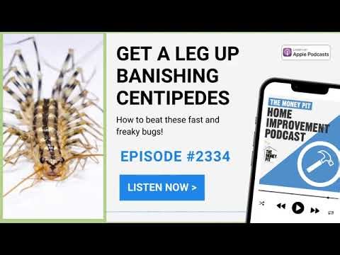 Get a Leg Up on Banishing Centipedes Smart Sips for Plants Benefits of Micro irrigation Spray I