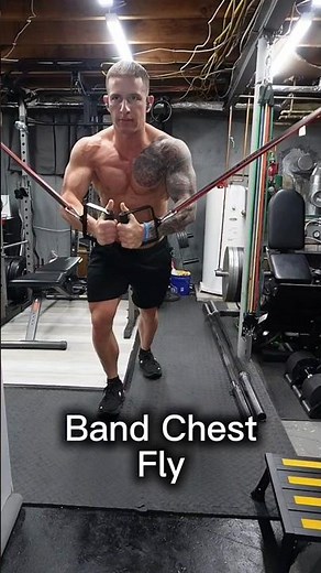 Band Chest Fly
