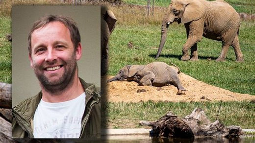 Ředitel Zoo Zlín o slonech, druhé etapě Karibuni i záchranném centru pro lvy