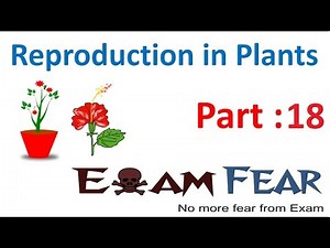 L18 : Seed Dispersal - Reproduction in Plants, Science, Class 7 Video Lecture