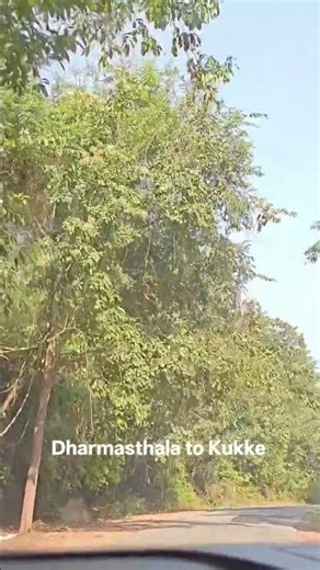 Dharmasthala to Kukke Road #dharmasthala #kukkesubramanya #nature #greenery #lovefortravel #peace