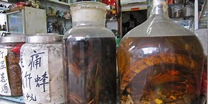 How Snake Oil Got a Bad Name