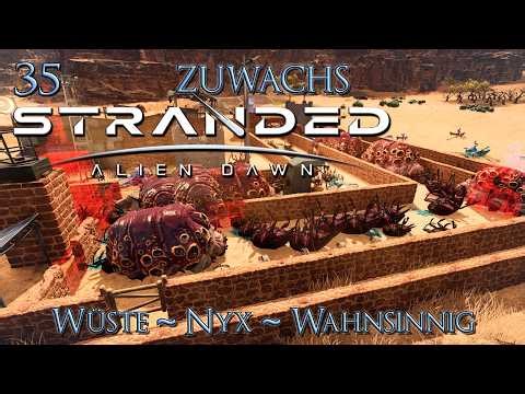 ✨ Wir brauchen einen Platz zum schlafen 🤩 ~ Stranded: Alien Dawn ~ Alles wahnsinniger Zufall ~ 35