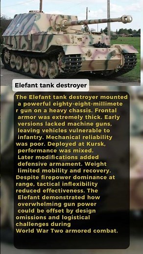 German Elefant Destroyer