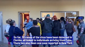 Sloth Fever: What Is Oropouche Virus & What Causes It?