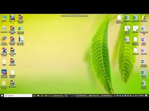 How to use PTL for importing relay setting files in Omicron Test Universe 7UT86 Differential relay