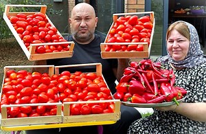 356K views · 7.3K reactions | A real Recipe for All Dishes  #junglelifereviews #fyp #foodie #reels #food #trending #foodlover | Jungle Life Reviews | Facebook