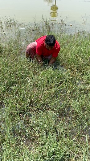 234K views · 829 reactions | Python Rescue ❤️. Rescue Team Dhanbad. Please follow me #fbreelsviral #viralvideofb #reelsviralfb #facebookreels #shortsvideo #treanding | Mobarak Snakesaver | Facebook