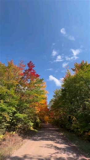 3K views · 126 reactions | Here's what a fall color drive looks like on Minnesota's North Shore of Lake Superior ❤️ It's peak maple season now. Next up are the bright gold birch and aspen! This is reposted from @bluefinbay. Follow them and book a stay at their lovely Lake Superior side accommodations ❤️ DM for details on fall color drives. Check the link in bio for my guide to peak fall colors. #NorthShoreMN #fallcolor #fallcolordrive | North Shore Explorer MN | Facebook
