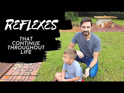 Review reflexes that continue throughout the lifespan
