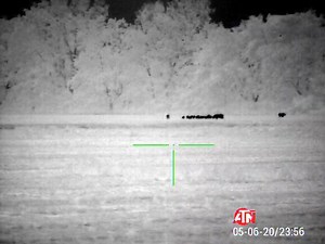 147K views · 2K reactions | Played on the heart strings of a big sounder with a bunch of piglets. ICOtec Night Stalker playing Vampigra. They would start coming then go back to the woods. Finally the lead sow decided she needed to come check it out. Took lucky 13 out the bunch. ATN #MakingOrphans #Sucker #RentsDue #WeAreTheSavages | Rougarou Hog Control | Facebook