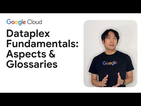 Dataplex fundamentals: Aspects & glossaries