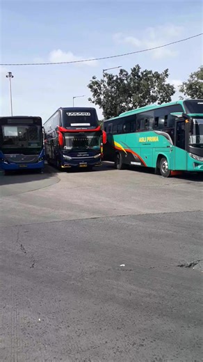 “Sriwijaya’s Elite on Asphalt — ADHI PRIMA Scania Marches Home” The ADHI PRIMA Scania Double Decker rolls out of Kalideres with authority, bound for Palembang. Like Sriwijaya’s elite force—tall, calm, commanding. Each engine note carries Sumatra’s pride home, stitching Java to Palembang in a noble night run. #AdhiPrima #Scania #DoubleDecker #Sriwijaya #PalembangBound #TerminalKalideres #BusIndonesia #SumatraPride #NightRun | Kamso Amat
