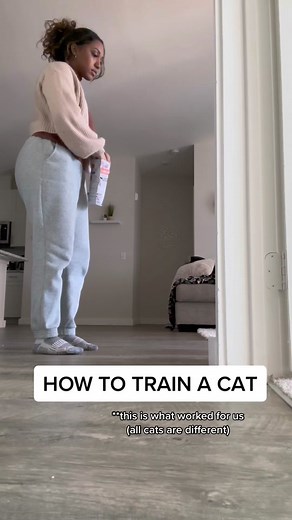 How to Train Your Cat: Tips and Tricks for Obedience Training
