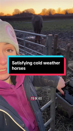 Satisfying Cold Weather Moments with Horses