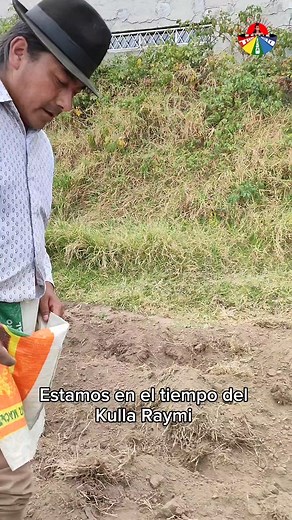 Compartimos el tiempo sagrado de la minga y siembra colectiva, el #KullaRaymi tiene un profundo significado, es la festividad de la fertilidad y feminidad. #Conaie #LeonidasIza #PueblosIndígenas | Leonidas Iza Salazar