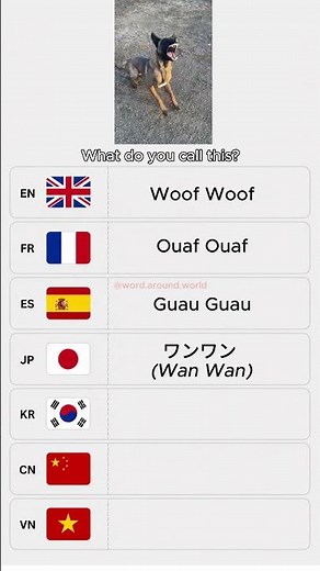 Dog sounds in different languages! 🐕 #shorts