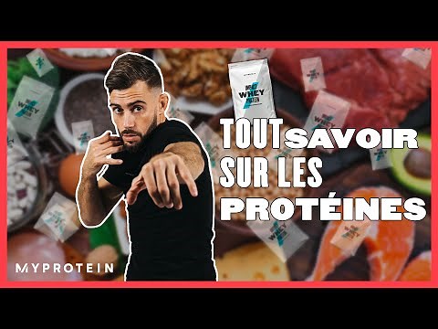 Les PROTÉINES | TOUT savoir sur la PROTÉINE | Alimentation Musculation