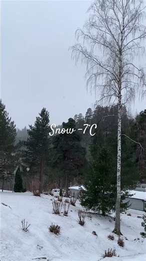 Started to snow ❄️ in Asker, Norway 🇳🇴 #wintervibes #scandinaviannature