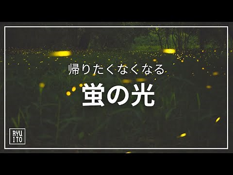 帰りたくなくなる蛍の光 (1時間耐久、チルアウト、フリーBGM、閉店、作業用BGM)